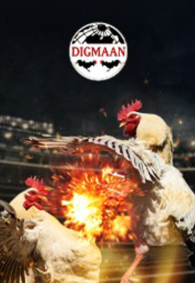 smm-pg-soft cover image png